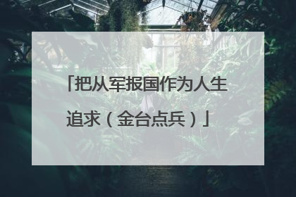 把从军报国作为人生追求（金台点兵）