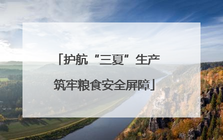 护航“三夏”生产 筑牢粮食安全屏障