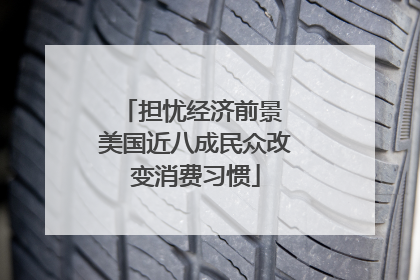 担忧经济前景 美国近八成民众改变消费习惯