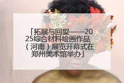 拓展与回望——2025综合材料绘画作品（河南）展览开幕式在郑州美术馆举办