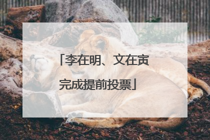 李在明、文在寅完成提前投票