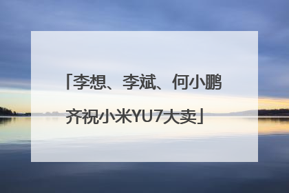 李想、李斌、何小鹏齐祝小米YU7大卖