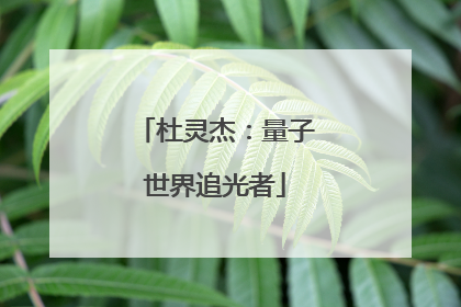 杜灵杰：量子世界追光者