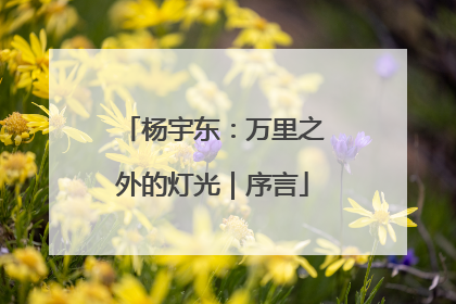 杨宇东：万里之外的灯光｜序言