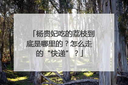 杨贵妃吃的荔枝到底是哪里的？怎么走的“快递”？