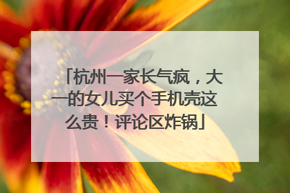 杭州一家长气疯，大一的女儿买个手机壳这么贵！评论区炸锅