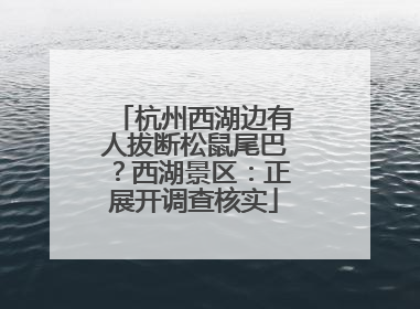杭州西湖边有人拔断松鼠尾巴？西湖景区：正展开调查核实