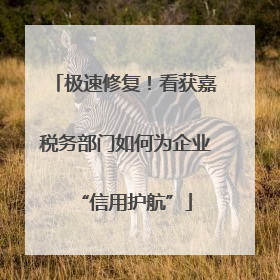 极速修复！看获嘉税务部门如何为企业“信用护航”