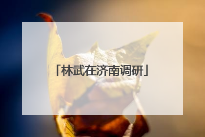 林武在济南调研