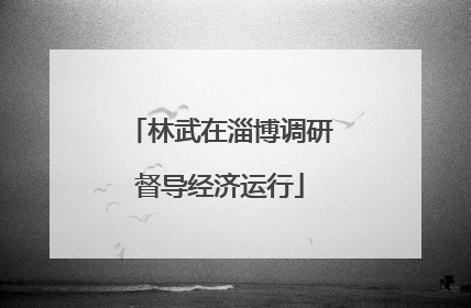 林武在淄博调研督导经济运行
