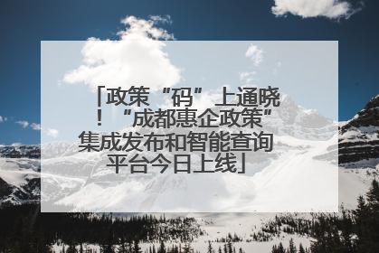 政策“码”上通晓！“成都惠企政策”集成发布和智能查询平台今日上线