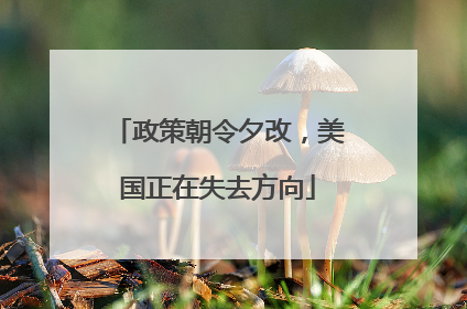 政策朝令夕改，美国正在失去方向