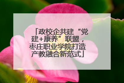 政校企共建“党建+康养”联盟，枣庄职业学院打造产教融合新范式