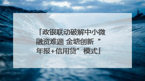 政银联动破解中小微融资难题 金塘创新“年报+信用贷”模式
