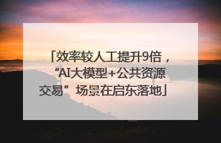 效率较人工提升9倍，“AI大模型+公共资源交易”场景在启东落地