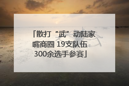 散打“武”动陆家嘴商圈 19支队伍300余选手参赛