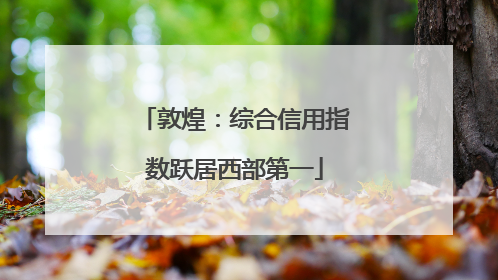 敦煌：综合信用指数跃居西部第一