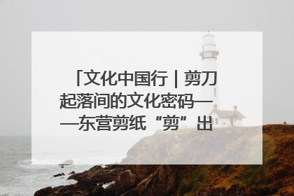 文化中国行｜剪刀起落间的文化密码——东营剪纸“剪”出非遗传承与现代生活的融合之道