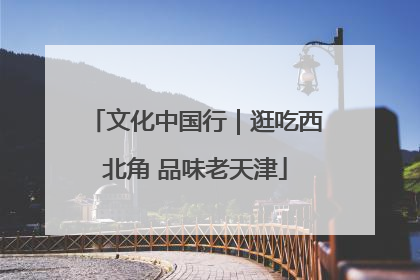 文化中国行｜逛吃西北角 品味老天津