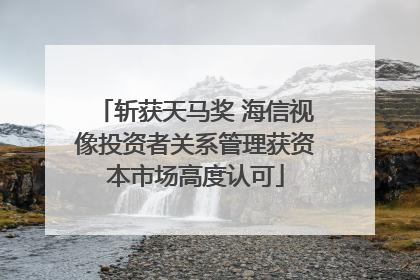 斩获天马奖 海信视像投资者关系管理获资本市场高度认可