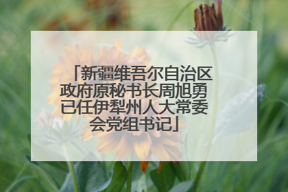 新疆维吾尔自治区政府原秘书长周旭勇已任伊犁州人大常委会党组书记