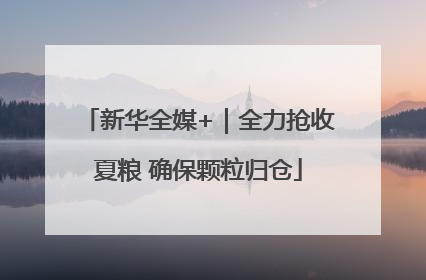 新华全媒+｜全力抢收夏粮 确保颗粒归仓