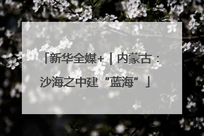 新华全媒+｜内蒙古：沙海之中建“蓝海”