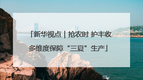 新华视点｜抢农时 护丰收 多维度保障“三夏”生产
