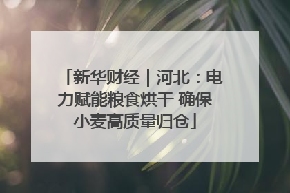 新华财经｜河北：电力赋能粮食烘干 确保小麦高质量归仓