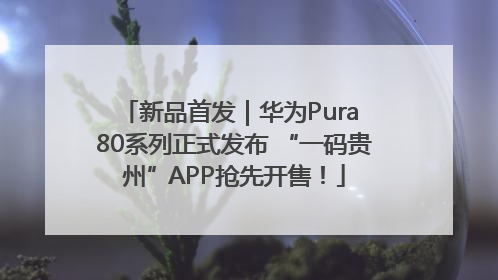 新品首发｜华为Pura 80系列正式发布 “一码贵州”APP抢先开售！