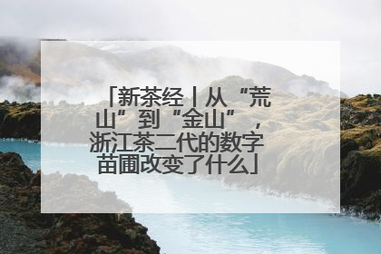 新茶经丨从“荒山”到“金山”，浙江茶二代的数字苗圃改变了什么