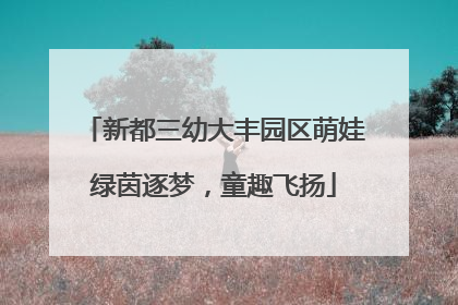 新都三幼大丰园区萌娃绿茵逐梦，童趣飞扬