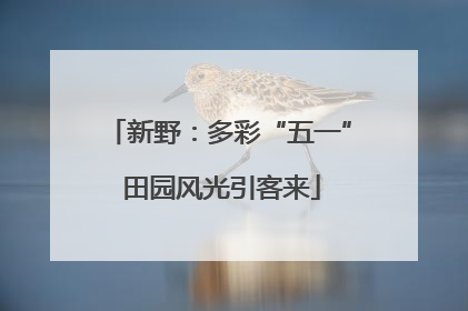 新野：多彩“五一” 田园风光引客来