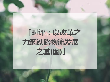 时评：以改革之力筑铁路物流发展之基(图)