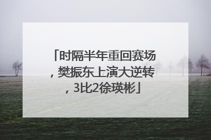 时隔半年重回赛场，樊振东上演大逆转，3比2徐瑛彬