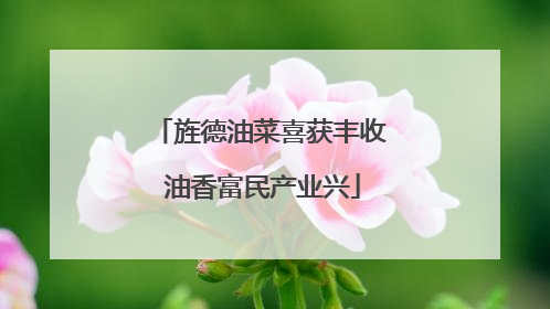 旌德油菜喜获丰收 油香富民产业兴