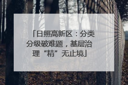 日照高新区：分类分级破难题，基层治理“精”无止境