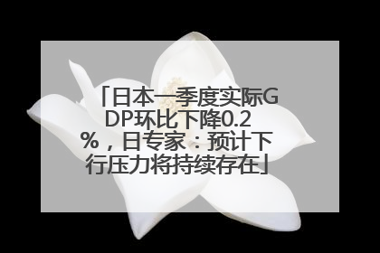 日本一季度实际GDP环比下降0.2%，日专家：预计下行压力将持续存在