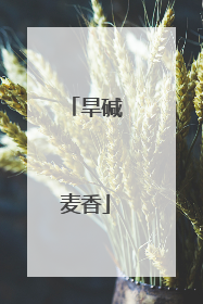 旱碱麦香