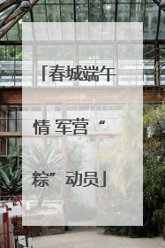 春城端午情 军营“粽”动员