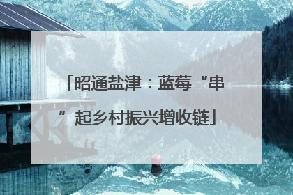 昭通盐津：蓝莓“串”起乡村振兴增收链