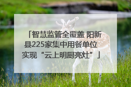 智慧监管全覆盖 阳新县225家集中用餐单位实现“云上明厨亮灶”