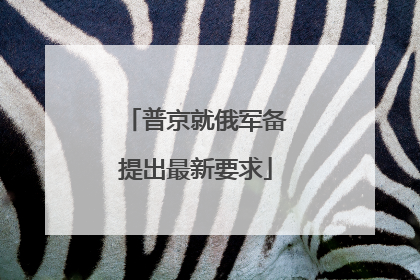 普京就俄军备提出最新要求