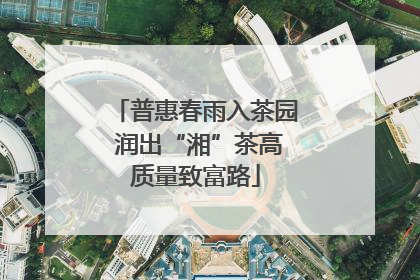 普惠春雨入茶园 润出“湘”茶高质量致富路