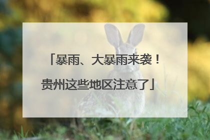 暴雨、大暴雨来袭！贵州这些地区注意了