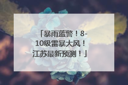 暴雨蓝警！8-10级雷暴大风！江苏最新预测！
