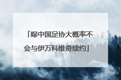 曝中国足协大概率不会与伊万科维奇续约