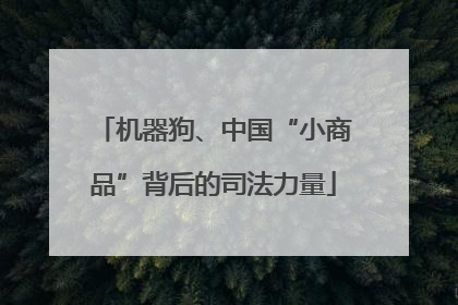 机器狗、中国“小商品”背后的司法力量
