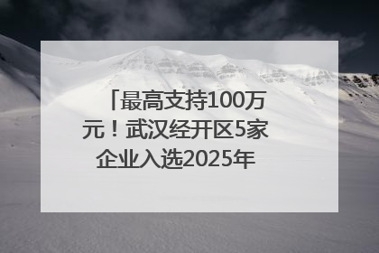 最高支持100万元！武汉经开区5家企业入选2025年度武汉市重点研发计划拟立项项目名单