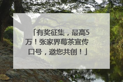有奖征集，最高5万！张家界莓茶宣传口号，邀您共创！